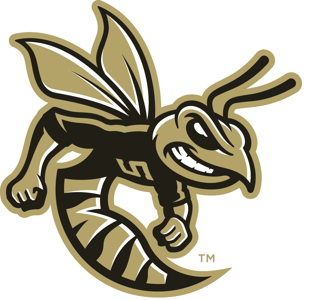 Sprayberry High School Logo